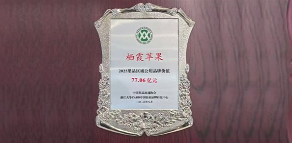 77.06億元！“棲霞蘋(píng)果”品牌價(jià)值穩(wěn)居全國(guó)榜首！