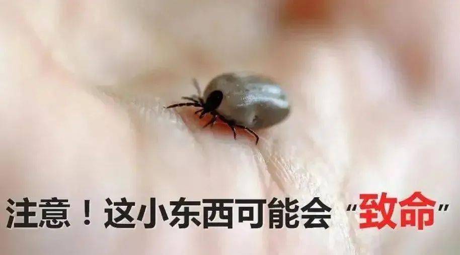 電子體溫計 電子體溫計