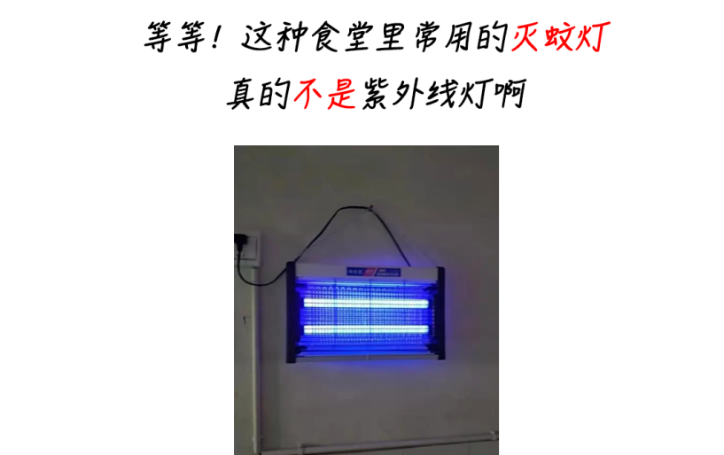 電子體溫計 電子體溫計